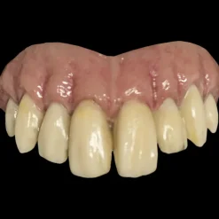 Trick Or Treat Studios Costumes & Props-Bitemares Horror Teeth - Goofy Teeth
