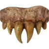 Trick Or Treat Studios Costumes & Props-Bitemares Horror Teeth - Vampire Master