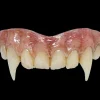 Trick Or Treat Studios Costumes & Props-Hammer Horror - Vampire Bride Teeth