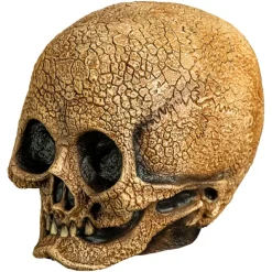Trick Or Treat Studios Masks-Illusive Concepts - Cranial Skull Mask